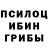 Галлюциногенные грибы Psilocybe JeffIsKing
