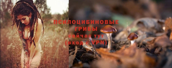 spice Богданович
