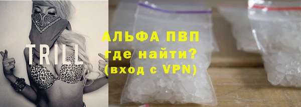 spice Богданович