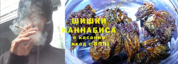 spice Богданович