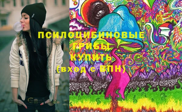 2c-b Богородицк